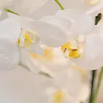 San Marco Design 게스트하우스 4*