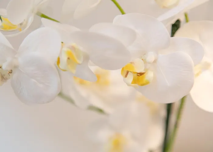 San Marco Design Vendégház 4*