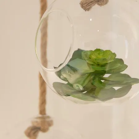 San Marco Design Πανσιόν 4*