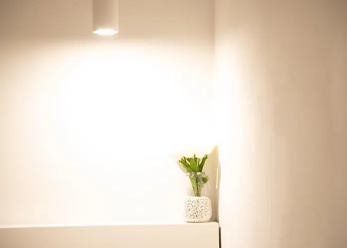 招待所 圣马可设计套房旅馆 4*