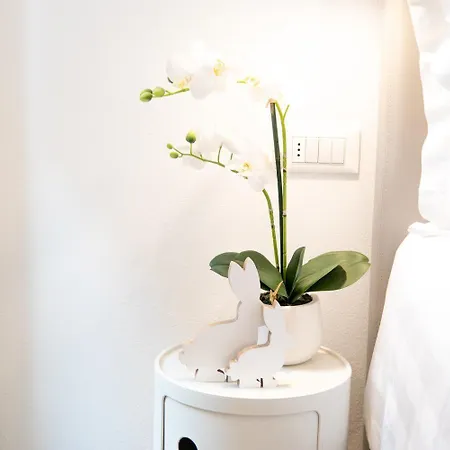 San Marco Design 4*